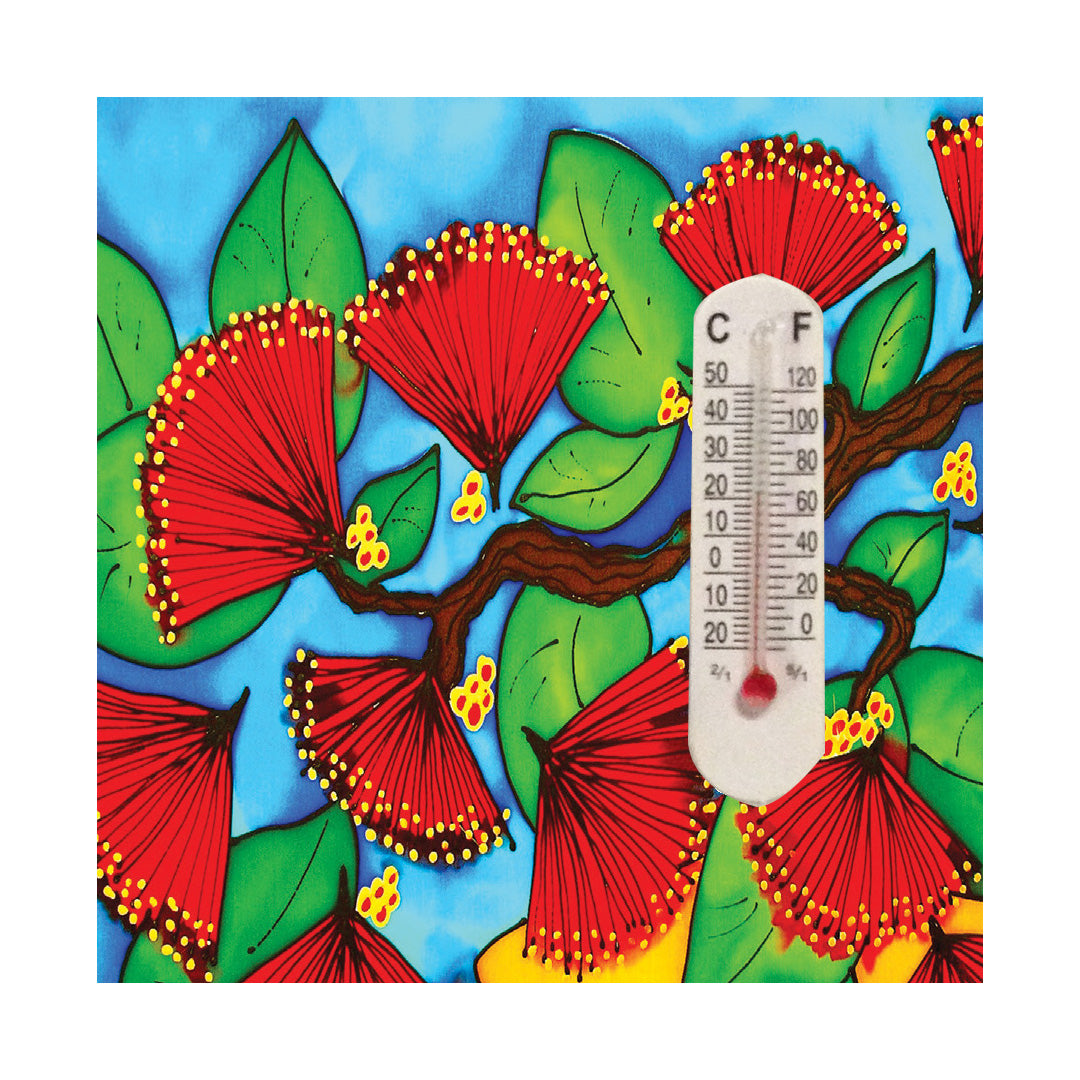 Ceramic Thermometer Magnet NZ Designs - Single