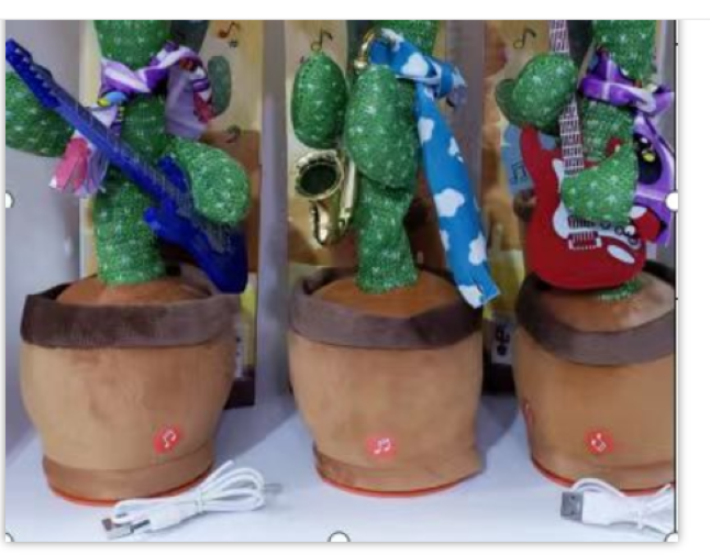Dance & Talk Cactus