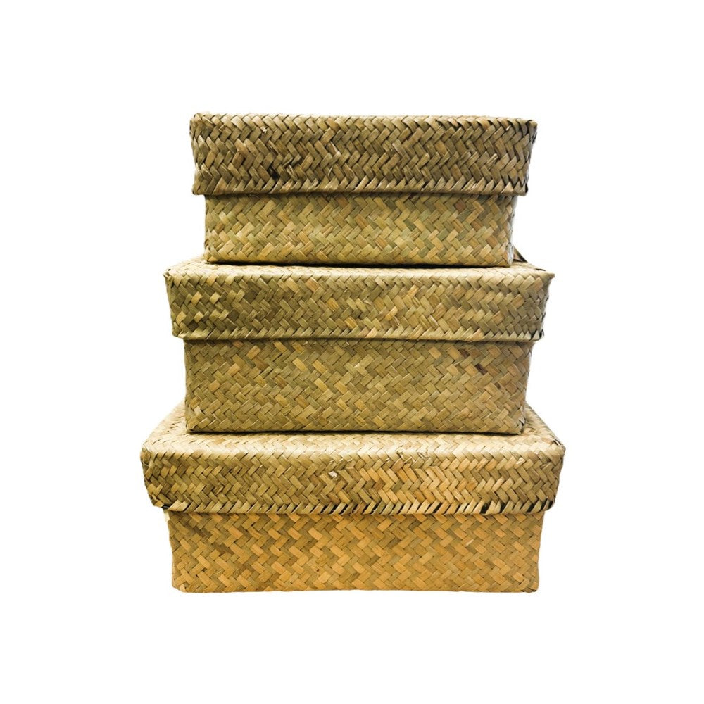 Seagrass Rectangle Box W Lid - Single