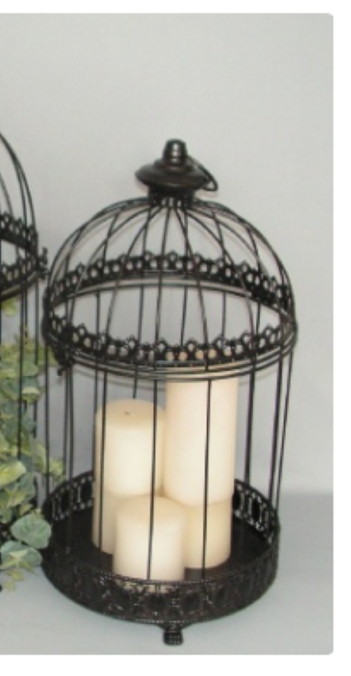 Plant Cage 24x48