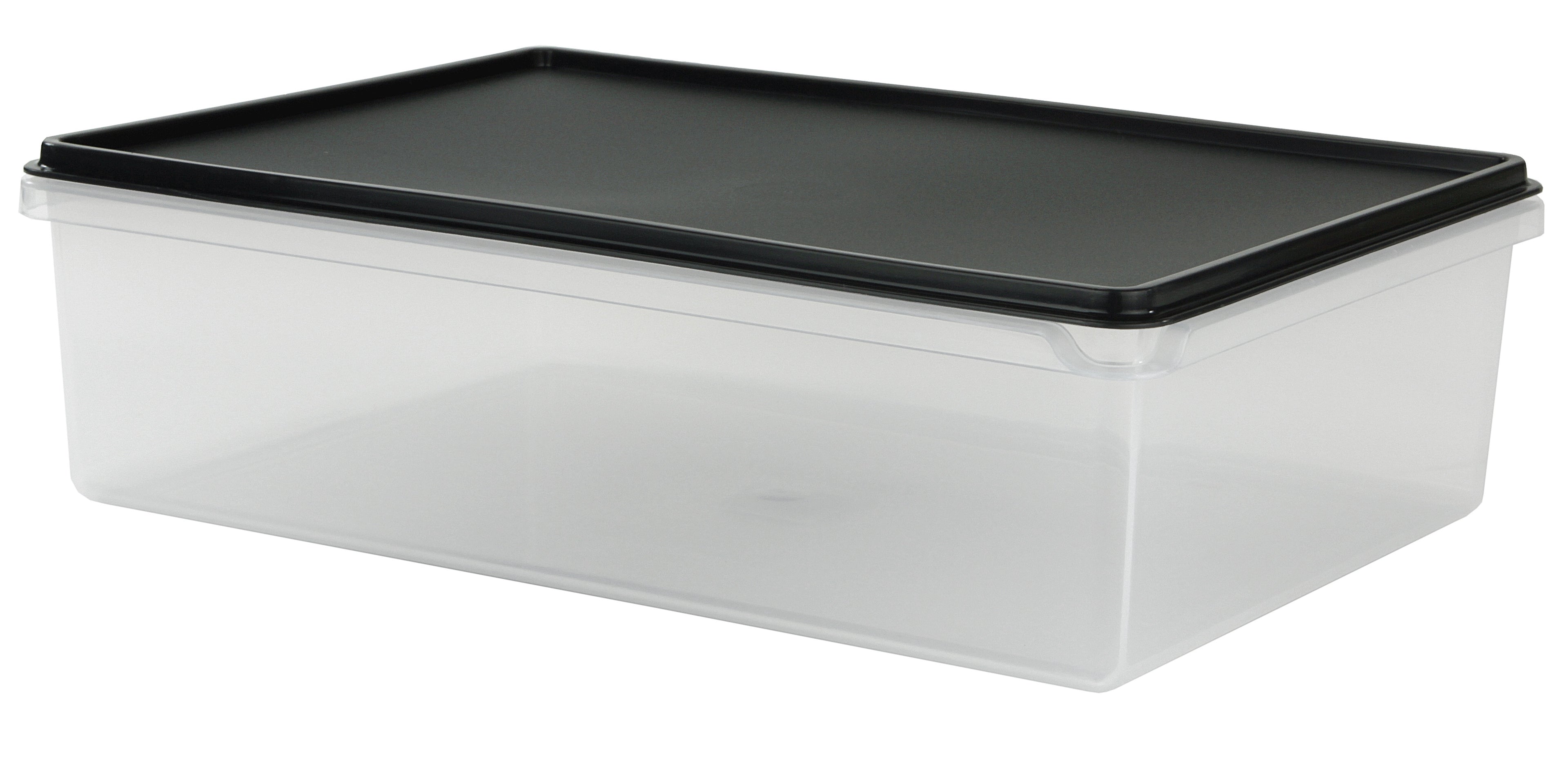 Cuisine Queen Rectangular Food Storer 2L
