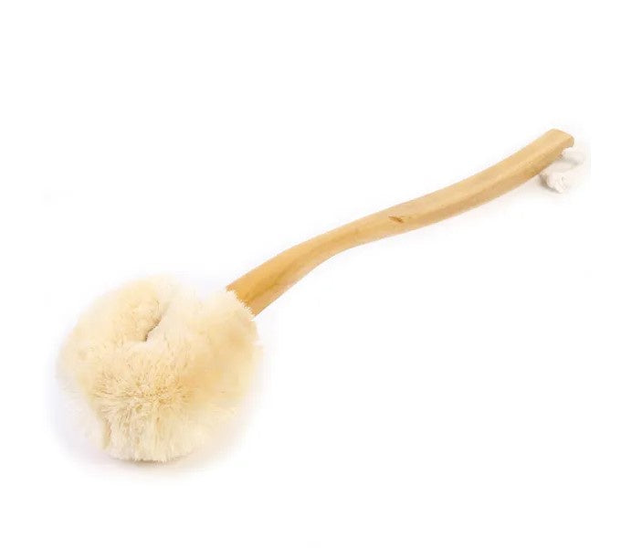 EcoMax Wet/Dry Lge Body Brush Wood Handle