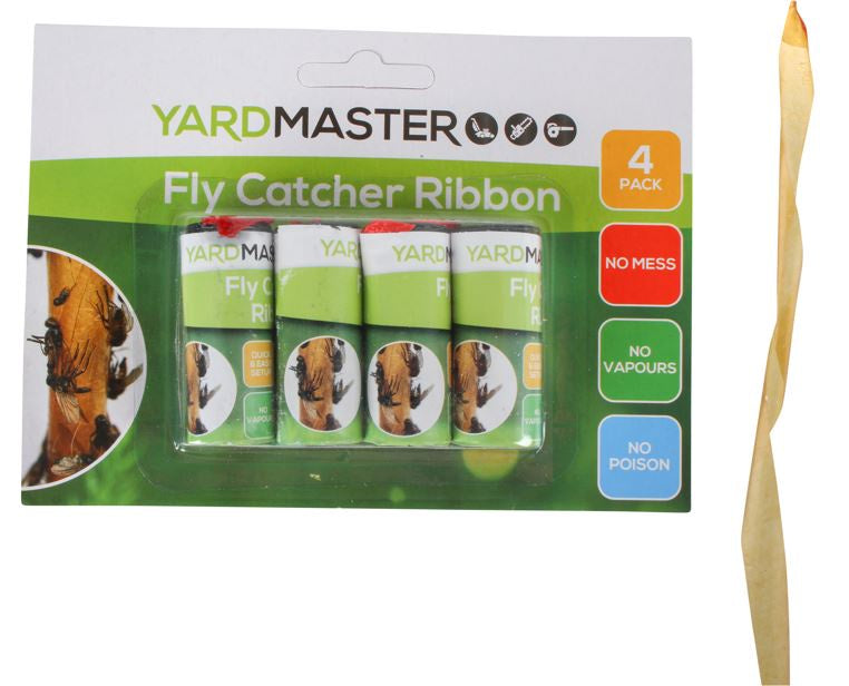 Fly Catcher Ribbon On Bcard